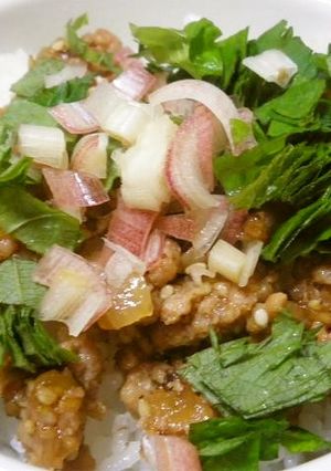 豚挽肉と香味野菜の丼-レシピのメイン写真