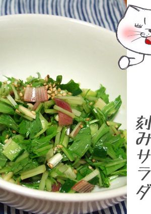 たっぷり野菜の刻みサラダ-レシピのメイン写真