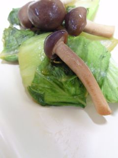 *チンゲン菜としめじのオイスター炒め*-レシピのメイン写真