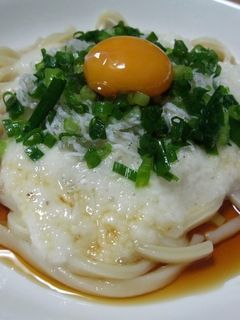 ☆簡単☆しらすと長いも冷やしうどん-レシピのメイン写真