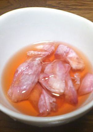 ホタルブクロの甘酢あえ-レシピのメイン写真