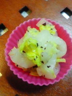 お弁当に☆白菜のゆかり和え-レシピのメイン写真