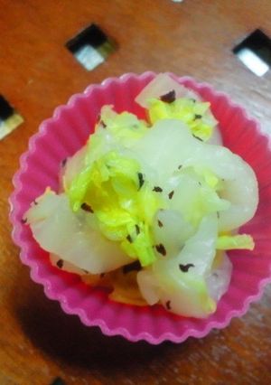 お弁当に☆白菜のゆかり和え-レシピのメイン写真