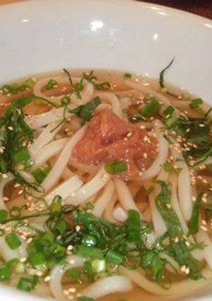 冷やしぶっかけ梅うどん-レシピのメイン写真