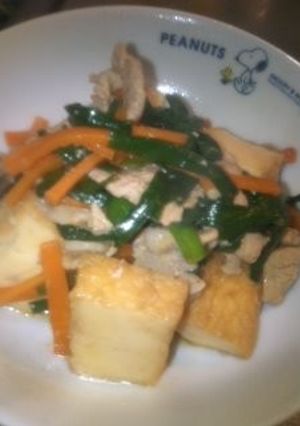 ボリューム満天♪厚揚げと豚肉の炒め物〜-レシピのメイン写真