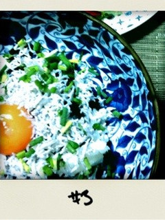 釜揚げしらす丼-レシピのメイン写真
