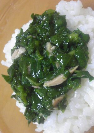 栄養満点☆簡単ﾍﾙｼｰ モロヘイヤ丼-レシピのメイン写真