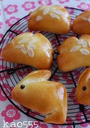 チョコクリームパン(HB使用)-レシピのメイン写真