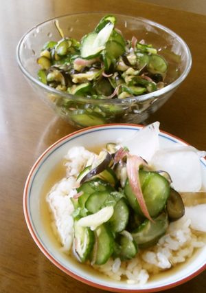 夏野菜で簡単冷茶漬け-レシピのメイン写真