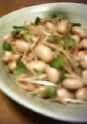 切干大根＋大豆のぴり辛和え-レシピのメイン写真