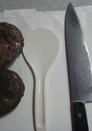 あわびの捌き方（しゃもじ＋文化包丁編）-レシピのメイン写真