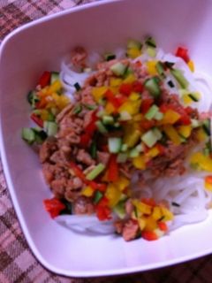 米粉麺de鮭そぼろの冷やし中華-レシピのメイン写真