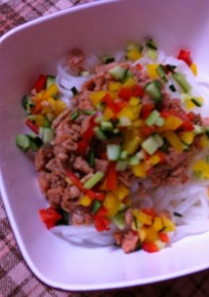 米粉麺de鮭そぼろの冷やし中華-レシピのメイン写真