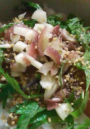 鯛茶漬け「醤油漬け風」-レシピのメイン写真