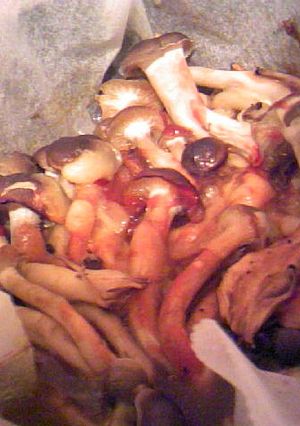 きのことチーズとハヤシライス焼き-レシピのメイン写真