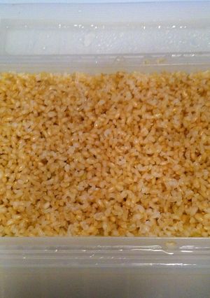 ルクエで玄米ご飯-レシピのメイン写真