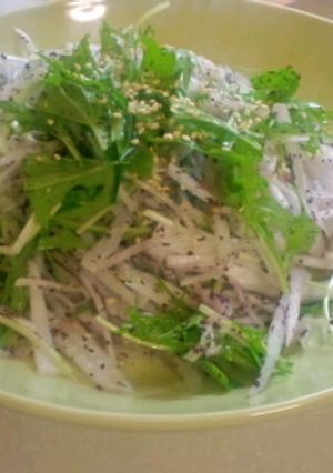 大根と水菜のさっぱりサラダ-レシピのメイン写真