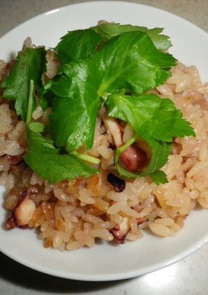 生タコでたこ飯✿-レシピのメイン写真