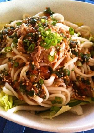 さっぱり★梅しそうどん-レシピのメイン写真