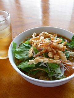 カレーサラダうどん-レシピのメイン写真