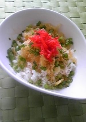 ドドーンと天かす丼-レシピのメイン写真