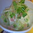 シンプル冷やっこ