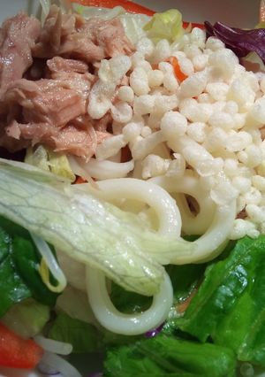 さっぱり簡単サラダうどん-レシピのメイン写真