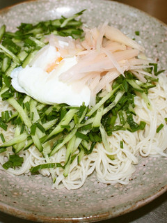 のっけ盛りそうめん-レシピのメイン写真