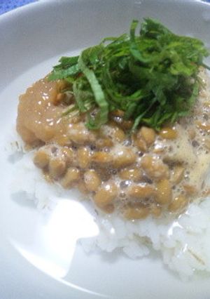 梅干し納豆冷やし茶漬け-レシピのメイン写真