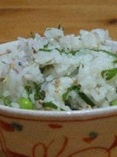 夏の定番☆★薬味混ぜご飯-レシピのメイン写真