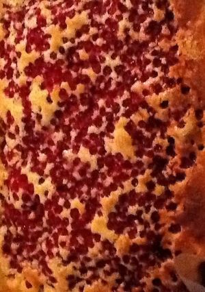 カシスのケーキ(ドイツより)-レシピのメイン写真