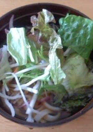 ざるサラダうどん-レシピのメイン写真