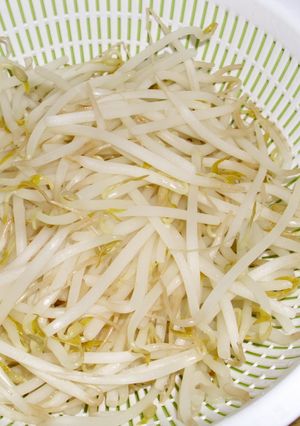 もやしが凄くシャキッとなる湯通し方法-レシピのメイン写真