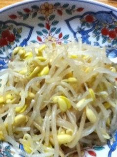 もやしのナムル-レシピのメイン写真