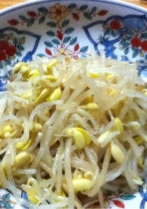 もやしのナムル-レシピのメイン写真