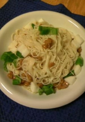 夏にネバっとズルっとそうめん♪-レシピのメイン写真