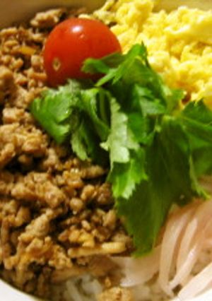 しょうがでさっぱりそぼろ丼ぶり-レシピのメイン写真