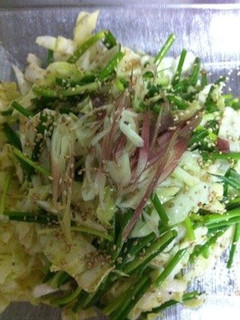 ☆たっぷり万能ねぎ☆中華風サラダ♪-レシピのメイン写真