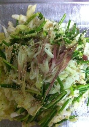 ☆たっぷり万能ねぎ☆中華風サラダ♪-レシピのメイン写真