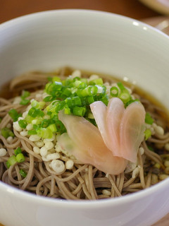 冷やしたぬき生姜うどん-レシピのメイン写真