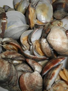 ♥我が家のあさりの酒蒸し(^o^)丿♥-レシピのメイン写真