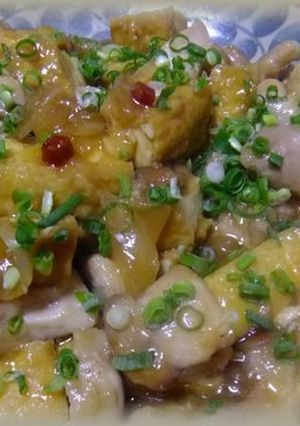 鶏肉と厚揚げのピリ辛煮-レシピのメイン写真