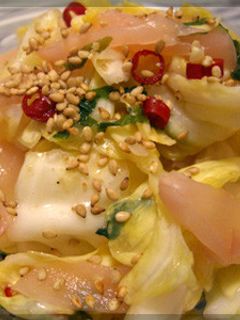 きゃべつと新しょうがのにんにく浅漬け-レシピのメイン写真