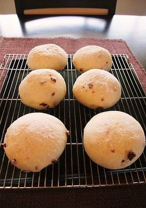 カルピスとヨーグルトのクランベリーパン☆-レシピのメイン写真