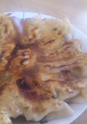 ごくごく普通の餃子-レシピのメイン写真