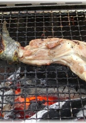 男のワイルド料理! 必殺のワニ手羽焼!-レシピのメイン写真
