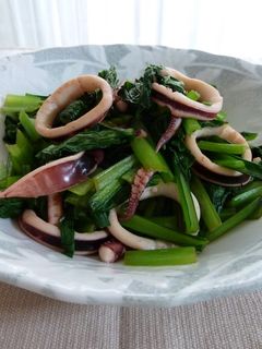 簡単!ウマイ! イカと小松菜の炒め物-レシピのメイン写真