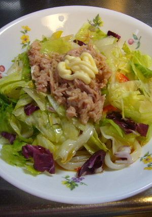 かんたんさっぱりサラダうどん-レシピのメイン写真