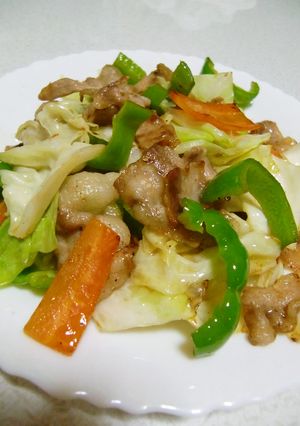 シンプル野菜炒め-レシピのメイン写真