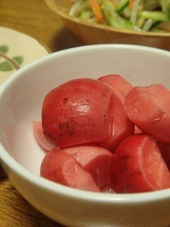 二十日大根の甘酢漬け-レシピのメイン写真